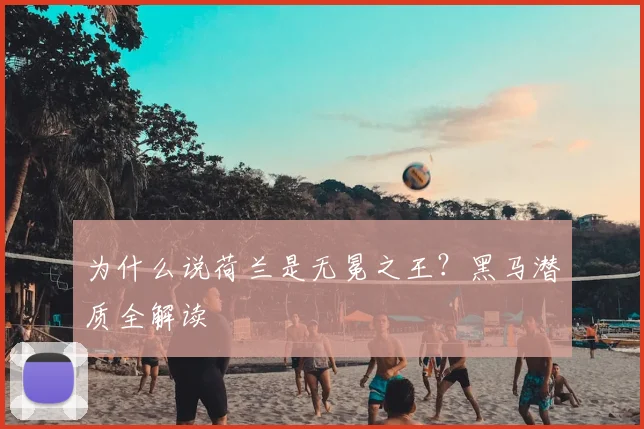 为什么说荷兰是无冕之王？黑马潜质全解读